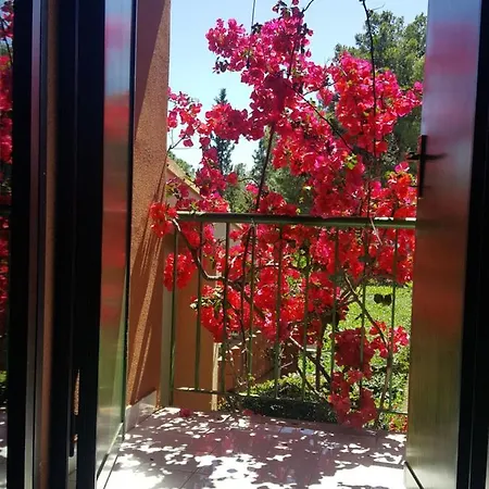 Villetta Oleandro Villa Villasimius